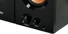 Колонки Defender Aurora S20 Black (65419)