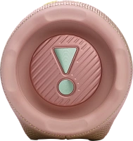 Портативная акустика JBL Charge 6 Pink