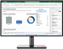 Монитор Lenovo 27" ThinkVision P27q-30 (63A2GAT1UK)