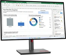 Монитор Lenovo 27" ThinkVision P27h-30 (63A1GAR1CB)